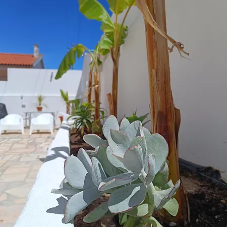 Supertubos House Peniche Bed and breakfast