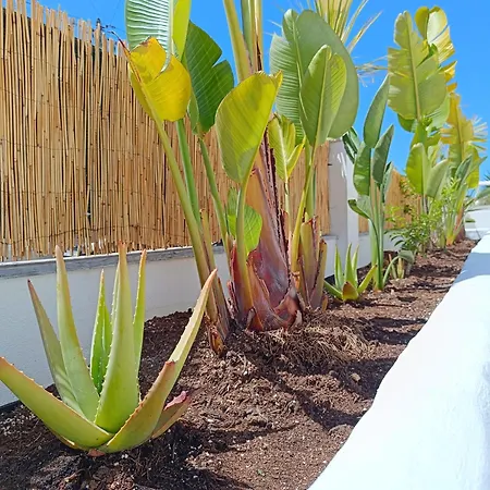 Supertubos House Peniche